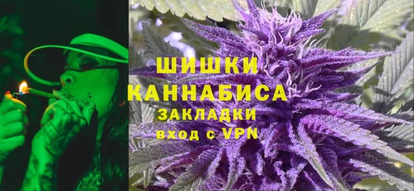 крисы Магас
