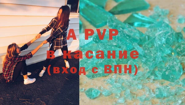 крисы Магас