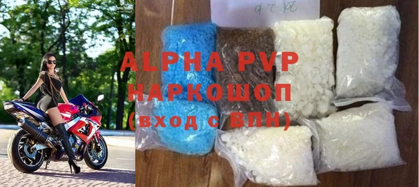 крисы Магас