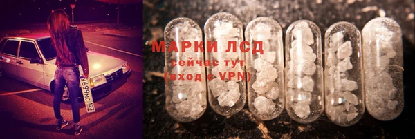 крисы Магас