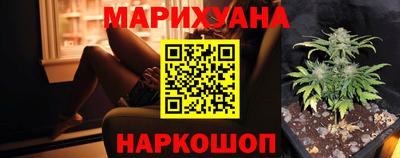 jwh Бийск