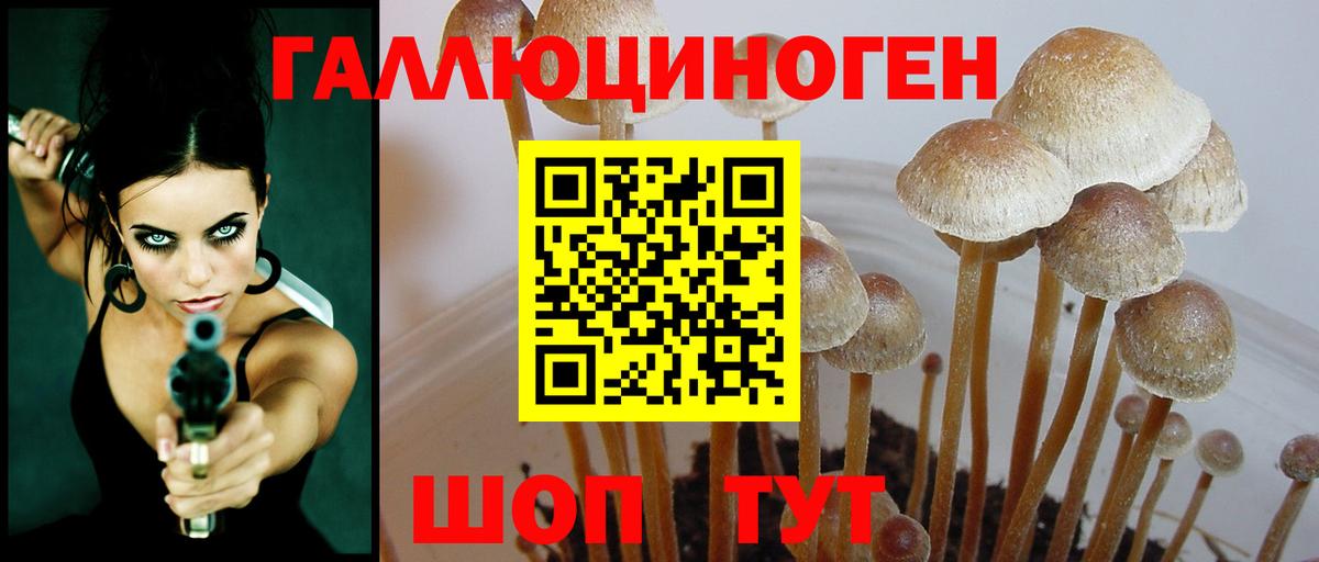 Псилоцибиновые грибы GOLDEN TEACHER  Вход с VPN  Избербаш 