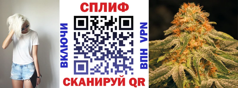 Бошки Шишки планчик Избербаш